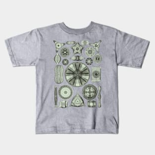 Ernst Haeckel Diatoms Olive Green Kids T-Shirt